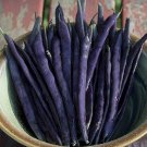 Blue Coco Pole Bean Seeds Vegetable Seeds Seed Packets French