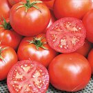 John Baer Tomato Seeds Vegetable Seeds Seed Packets Early Variety