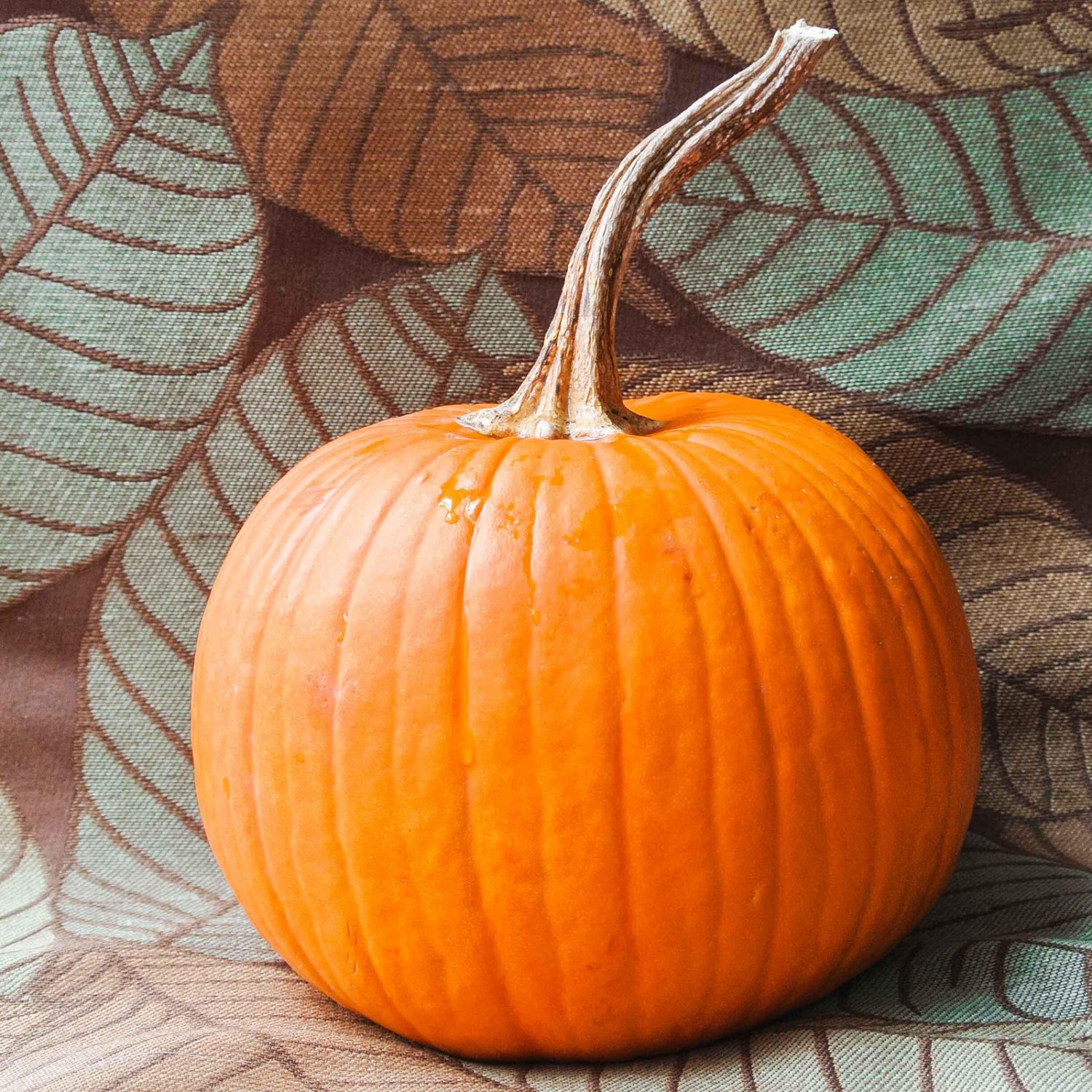 Small Sugar Pumpkin Seeds Vegetable Seeds Seed Packets