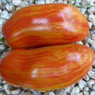 Prairie Fire Tomato 20 Seeds Vegetable Seeds Seed Packets