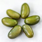 Mbombo Pole Bean 20 Seeds Vegetable Seeds Seed Packets Rare Emerald Color