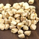 Cicerchia Bean Aka Tooth Bean Chickling Vetch Grass Pea Seeds Grown To Organic Standards Italian