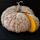 Galeux D Eysines Pumpkin Aka Peanut Squash Seeds Naturally Grown C.Maxima