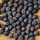 Black Kabouli Garbanzo Bean Seeds Vegetable Seeds Seed Packets Afghan