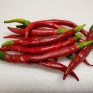 Chile De Arbol Hot Pepper Seeds Vegetable Seeds Seed Packets