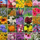 Northeast Wildflower Seed Mix Seeds Easy Care Great For Kids Flower Garden
