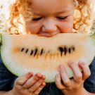 Melon Seeds Mountain Sweet Yellow Open Pollinated Fruit Vegetable Gardening