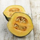 Squash Seeds Table Acorn Queen Vegetable Gardening