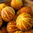 Tigger Asian Melon Seeds Open Pollinated Fruit Vegetable Gardening
