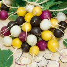 Radish Seeds Halloween Blend Vegetable Gardening