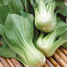 Cabbage Seeds Chinese Cabbage Pak Choi Open Pollinated Vegetable Gardening