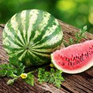 Crimson Sweet Watermelon Seeds Open Pollinated Vegetable Gardening