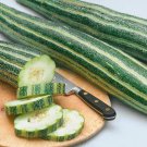 Armenian Cucumber Seeds Open Pollinated Vegetable Gardening
