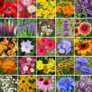 Wildflower Seed Mix Seeds Easy Care Great For Kids Carolina, Georgia, Florida, Tn, Southeast Flower 