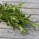 Rosemary Herb Seeds Culinary Herb Open Pollinated Vegetable Gardening
