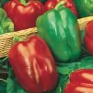 California Wonder Pepper Seeds Sweet Peppers Open Pollinated Vegetable Gardening