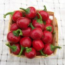 Sweet Pepper Seeds Red Cherry Sweet Peppers Open Pollinated Vegetable Gardening