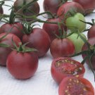 Tomato Seeds Chocolate Cherry Tomato Open Pollinated Vegetable Gardening