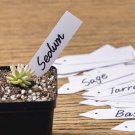 Pack Of 25 Plant Markers Plastic Plant Labels Tags 4 Inch Garden Marker With Hole For Seed Trays And