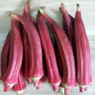 Okinawa Pink Okra Rare Seeds Us Seeds Open Pollinated Vegetable Gardening