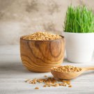 Wheatgrass Seeds Easy To Grow Treat For Cats / Dogs / Reptiles Dog Grass Cat Grass Fast Growing