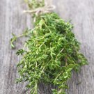 Thyme Herb Seeds Vegetable Gardening
