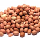 Peanut Seeds Spanish Peanut Open Pollinated Vegetable Gardening