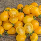 Yellow Pear Tomato Seeds Open Pollinated Vegetable Gardening