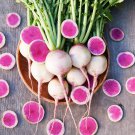 Watermelon Radish Seeds Vegetable Gardening