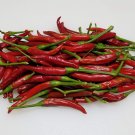 Thai Dragon Hot Pepper Seeds Open Pollinated Seeds Vegetable Gardening