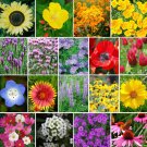 The Bees Knees Flower Seeds Pollinator Mix Garden Pollinators Save The Bees Flower Gardening
