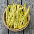Bean Seeds Romano Gold Beans Vegetable Gardening