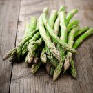 Asparagus Seeds Mary Washington Vegetable Gardening