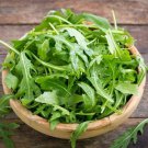 Arugula Seeds Rocket Arugula Herb Seeds Open Pollinated Vegetable Gardening