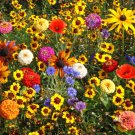 Wildflower Seed Mix Seeds Easy Care Great For Kids Annual Flower Mix