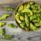 Shishito Pepper Seeds Open Pollinated Seeds Vegetable Gardening