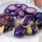Purple Tomatillo Seeds Open Pollinated Vegetable Gardening