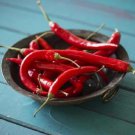 Hot Pepper Seeds Cayenne Long Red Thin Harvest Vegetable Gardening