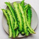 Winged Bean Asparagus Pea Seeds Vegetable Gardening