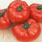 Beefsteak Tomato Seeds Vegetable Gardening
