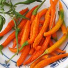Hot Pepper Seeds Cayenne Orange Harvest Vegetable Gardening