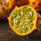 Kiwano Seeds African Horned Cucumber Open Pollinated Vegetable Gardening Grow Your Food
