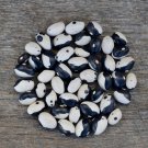 Calypso Shelling Bean Seeds Vegetable Gardening