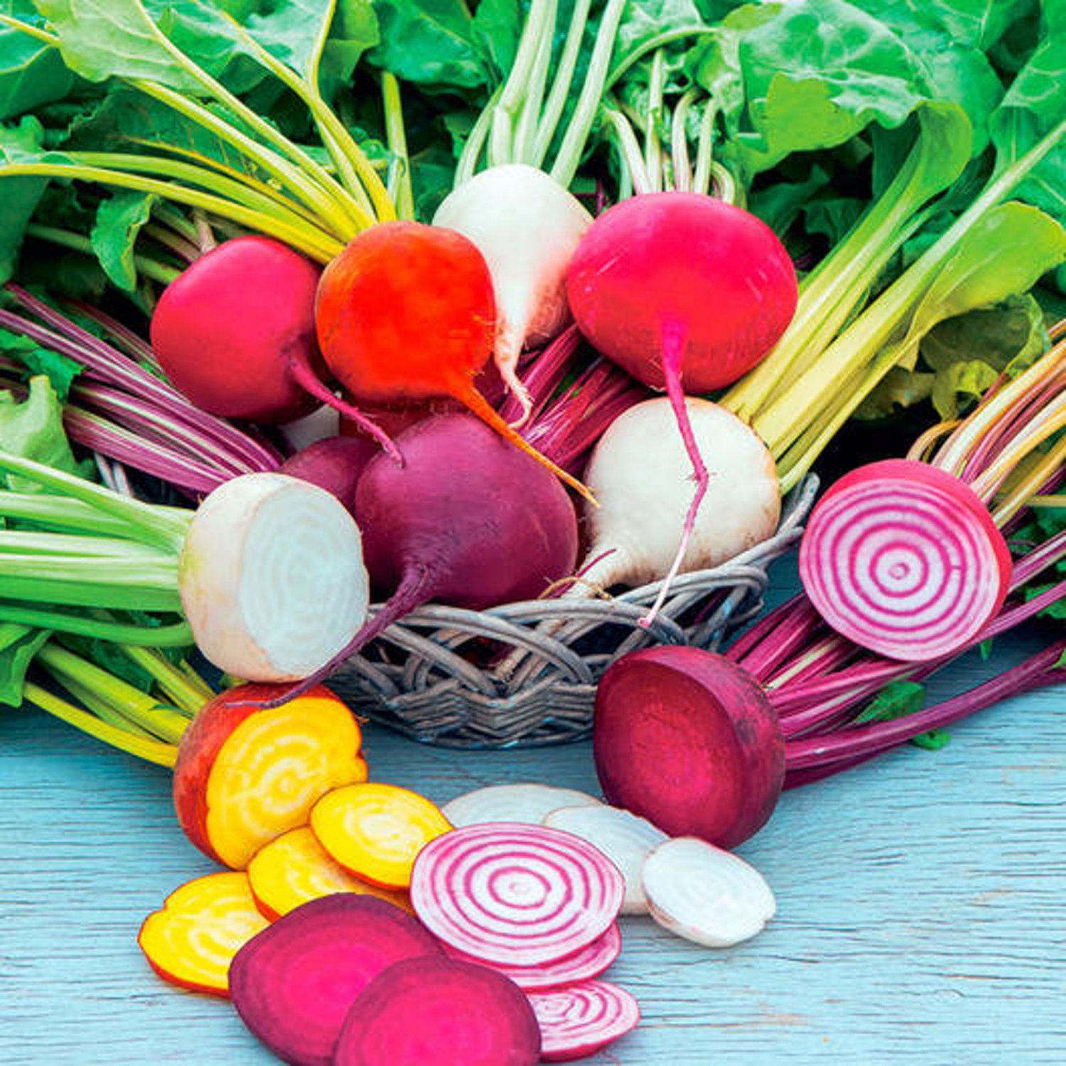 Rainbow Beets Seeds Vegetable Gardening