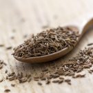 Caraway Herb Seeds Culinary Herb Open Pollinated Vegetable Gardening