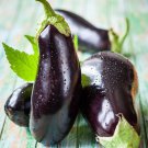 Eggplant Seeds Black Beauty Vegetable Gardening