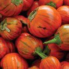 Eggplant Seeds Turkish Orange Eggplant Vegetable Gardening
