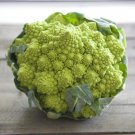 Broccoli Seeds Romanesco Vegetable Gardening Garden Seed Diy