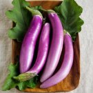 Eggplant Seeds Long Chinese Nasubi Purple Shine Vegetable Gardening