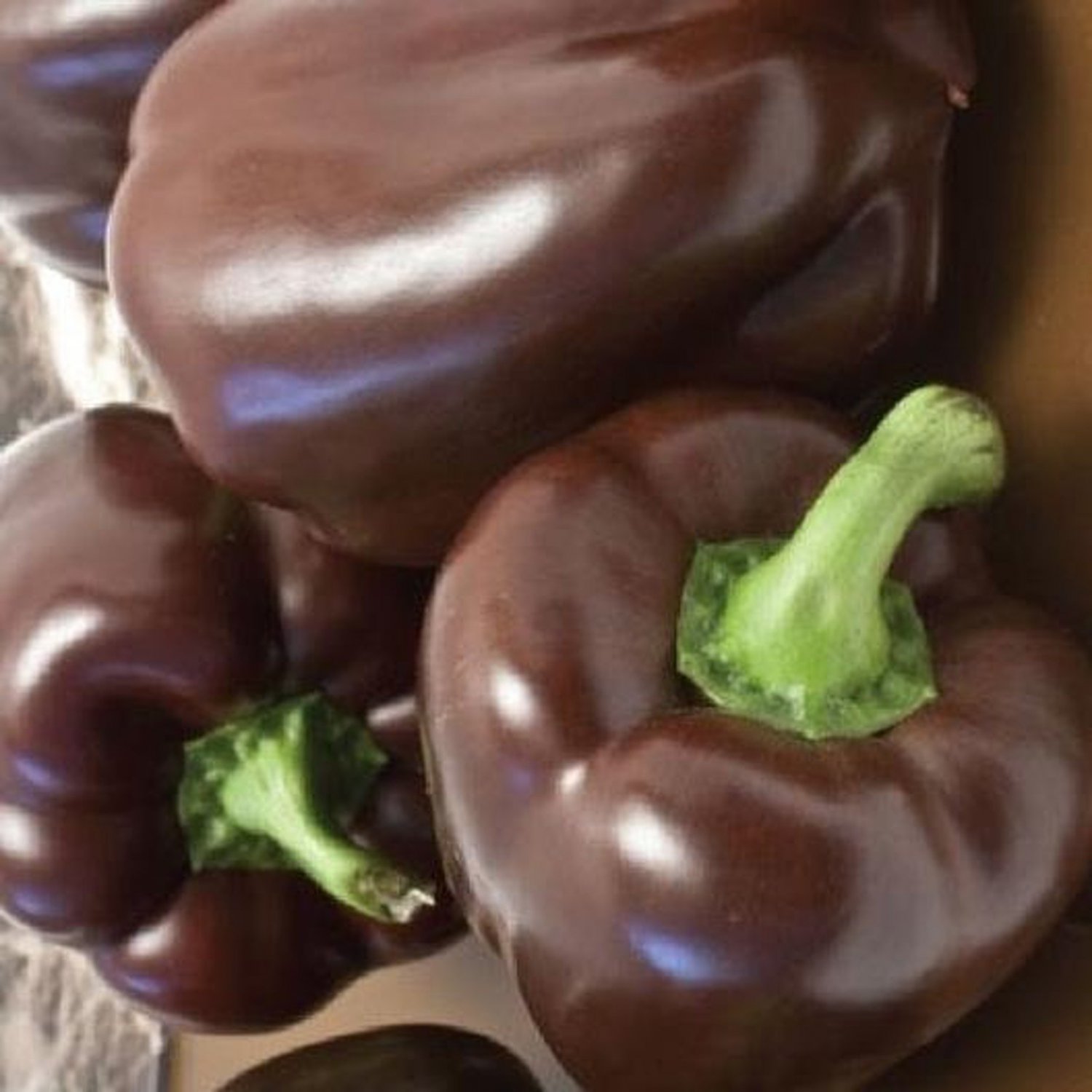 Pepper Seeds Chocolate Beauty Vegetable Gardening